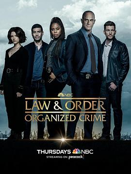 法律与秩序：组织犯罪第三季 第18集